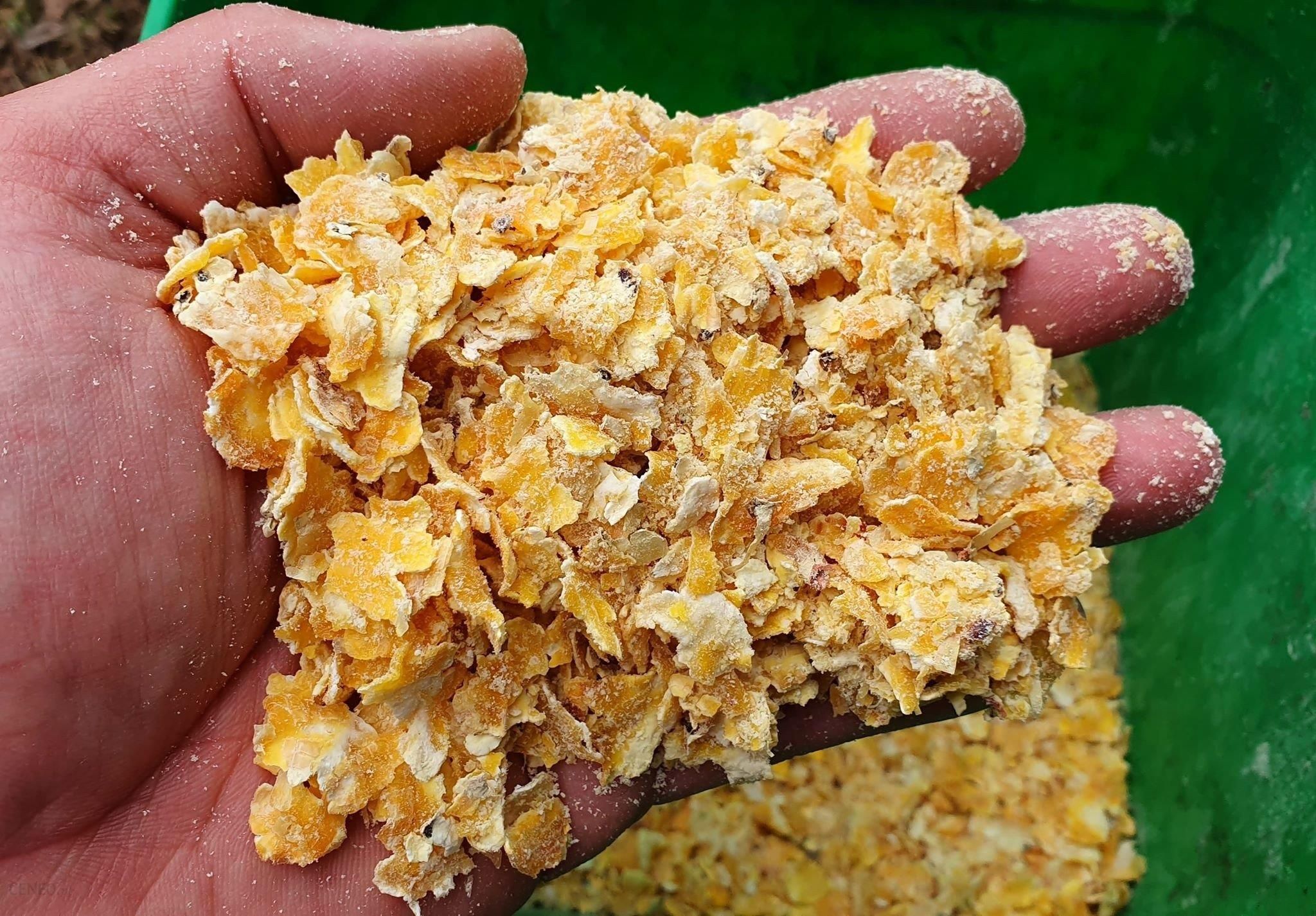 Corn Carp Crunch 1Kg